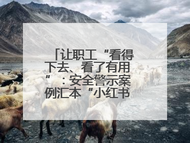 让职工“看得下去、看了有用”：安全警示案例汇本“小红书”掀起学习热